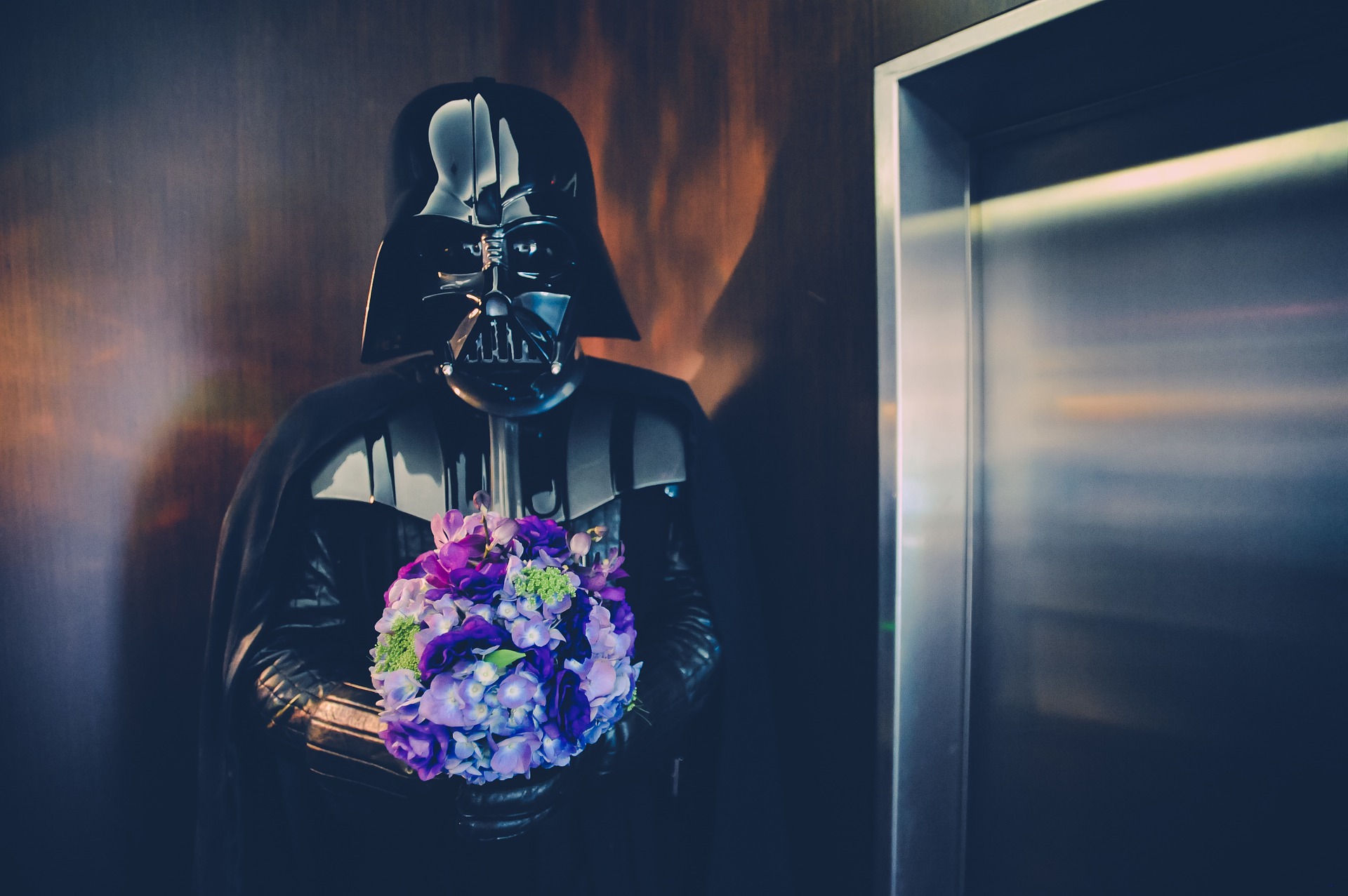 Contatta la redazione de L'Insolenza di R2-D2