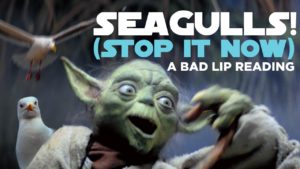 video nonsense di yoda star wars seagulls stop it now