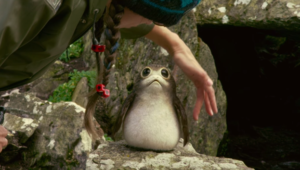 porgs in star wars the last jedi