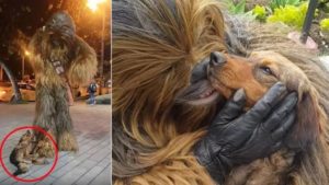 chewbacca e il cane randagio adottato