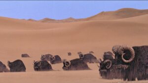 I Bantha nel deserto di Tatooine