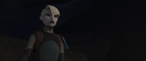 ventress in the bad batch 3